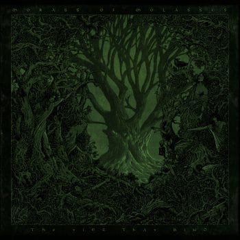 RockmusicRaider - Morass of Molasses - The Ties That Bind - Album Cover