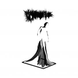 RockmusicRaider - Cryptae - Vestigial - Album Cover
