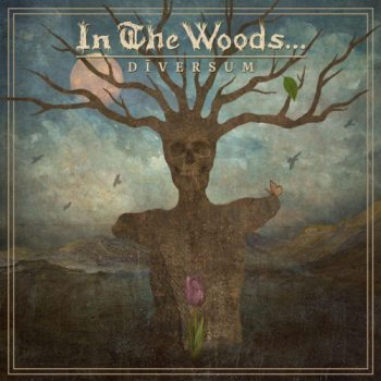 In the Woods... - Diversum - Album Cover